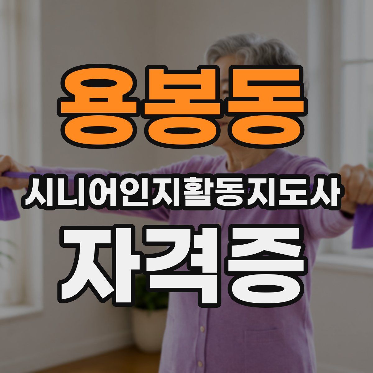 용봉동 시니어인지활동지도사 자격증