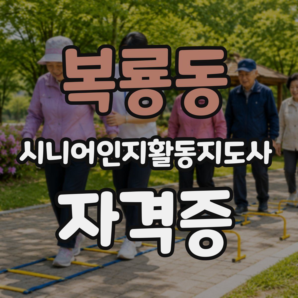 복룡동 시니어인지활동지도사 자격증