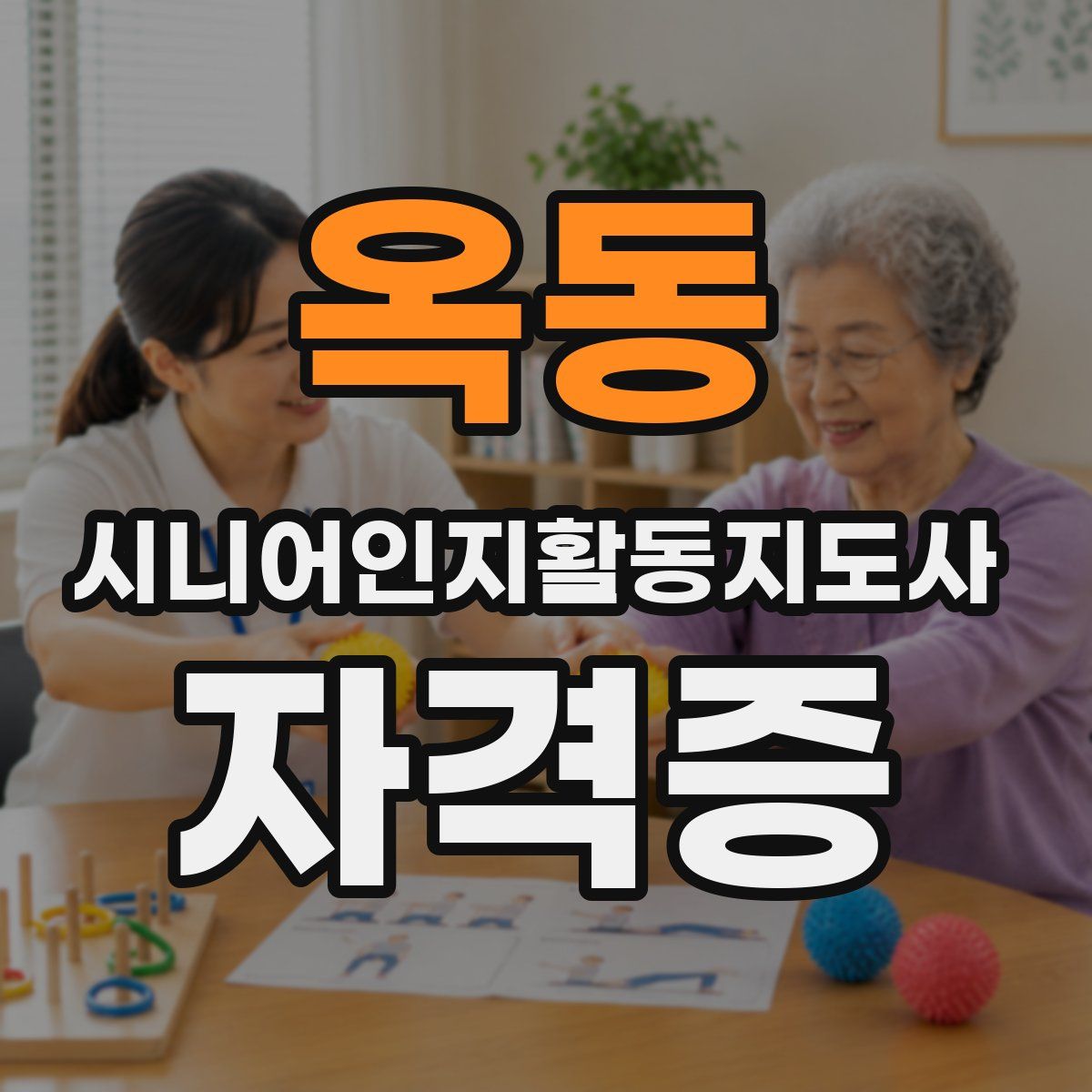옥동 시니어인지활동지도사 자격증