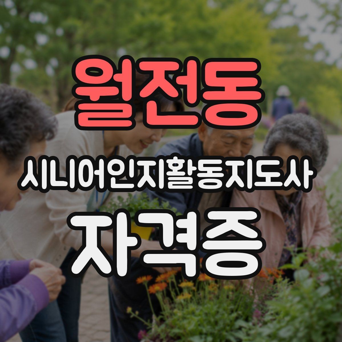 월전동 시니어인지활동지도사 자격증 실습 사례로 이해하는 교육 흐름