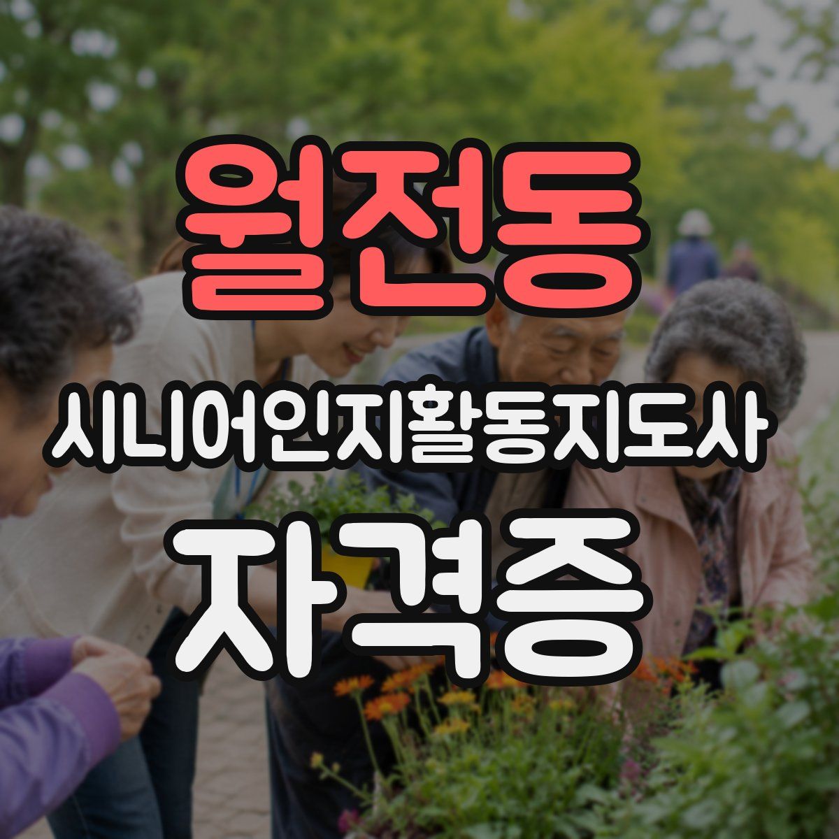 월전동 시니어인지활동지도사 자격증