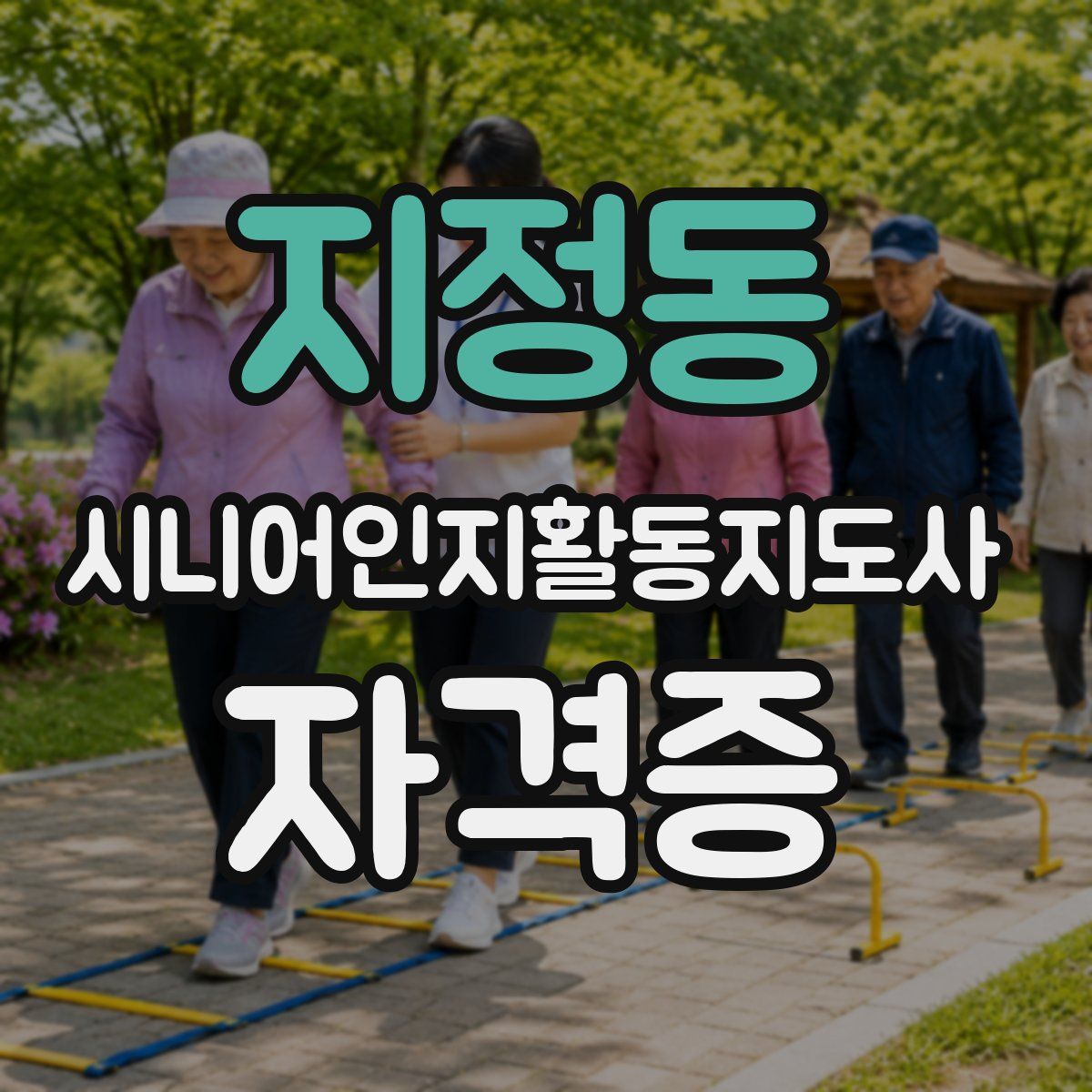 지정동 시니어인지활동지도사 자격증