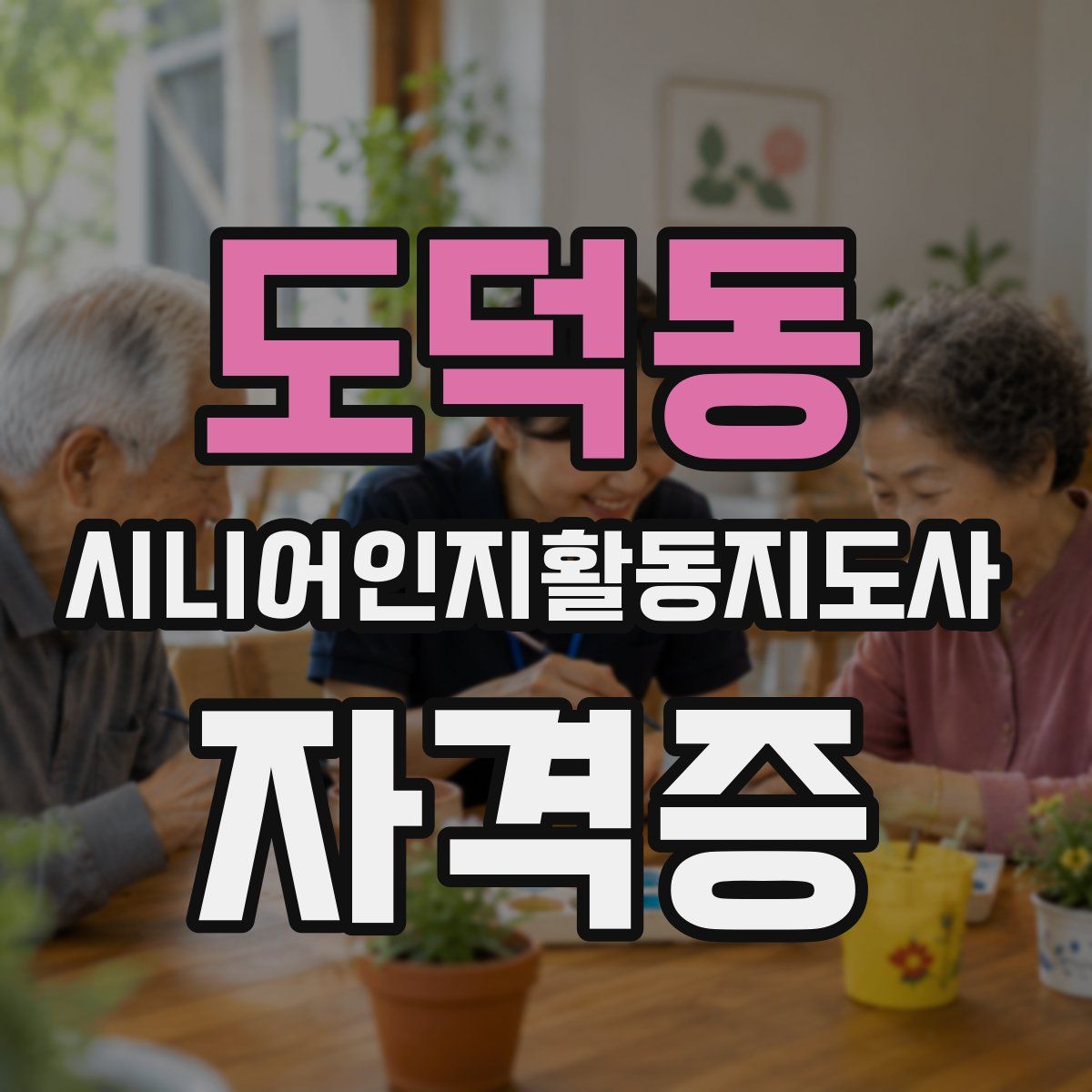 도덕동 시니어인지활동지도사 자격증