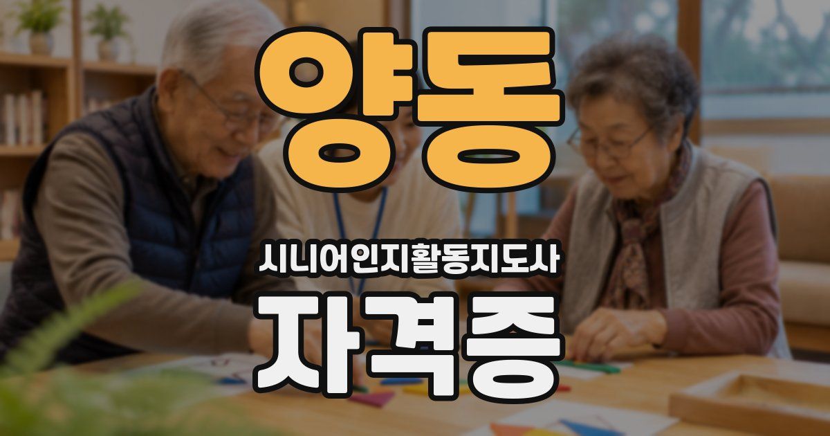 양동 시니어인지활동지도사 자격증
