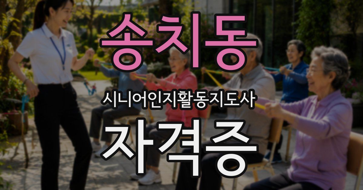 송치동 시니어인지활동지도사 자격증