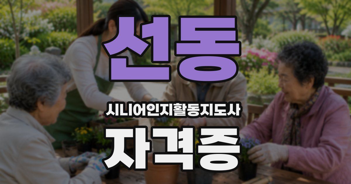 선동 시니어인지활동지도사 자격증