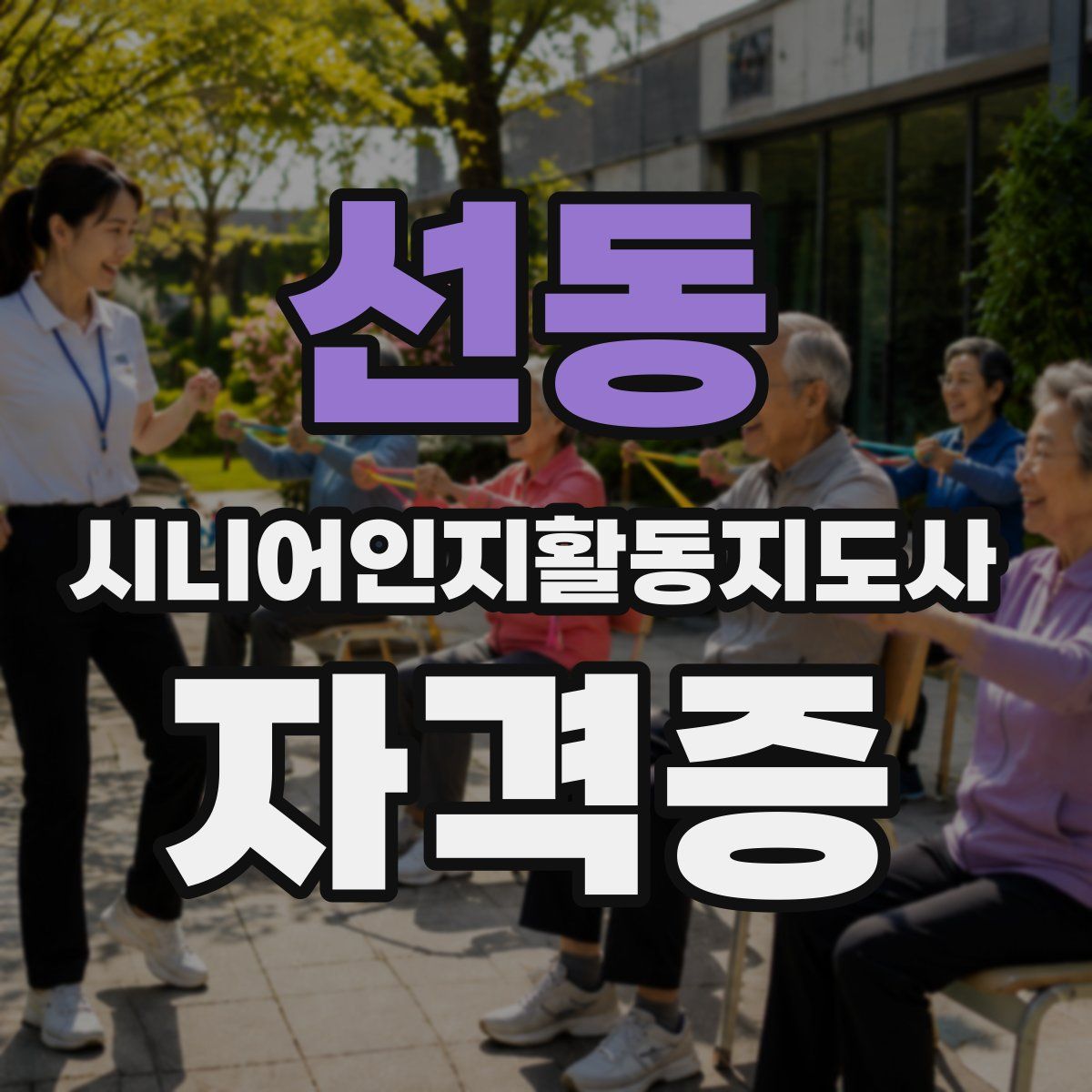 선동 시니어인지활동지도사 자격증
