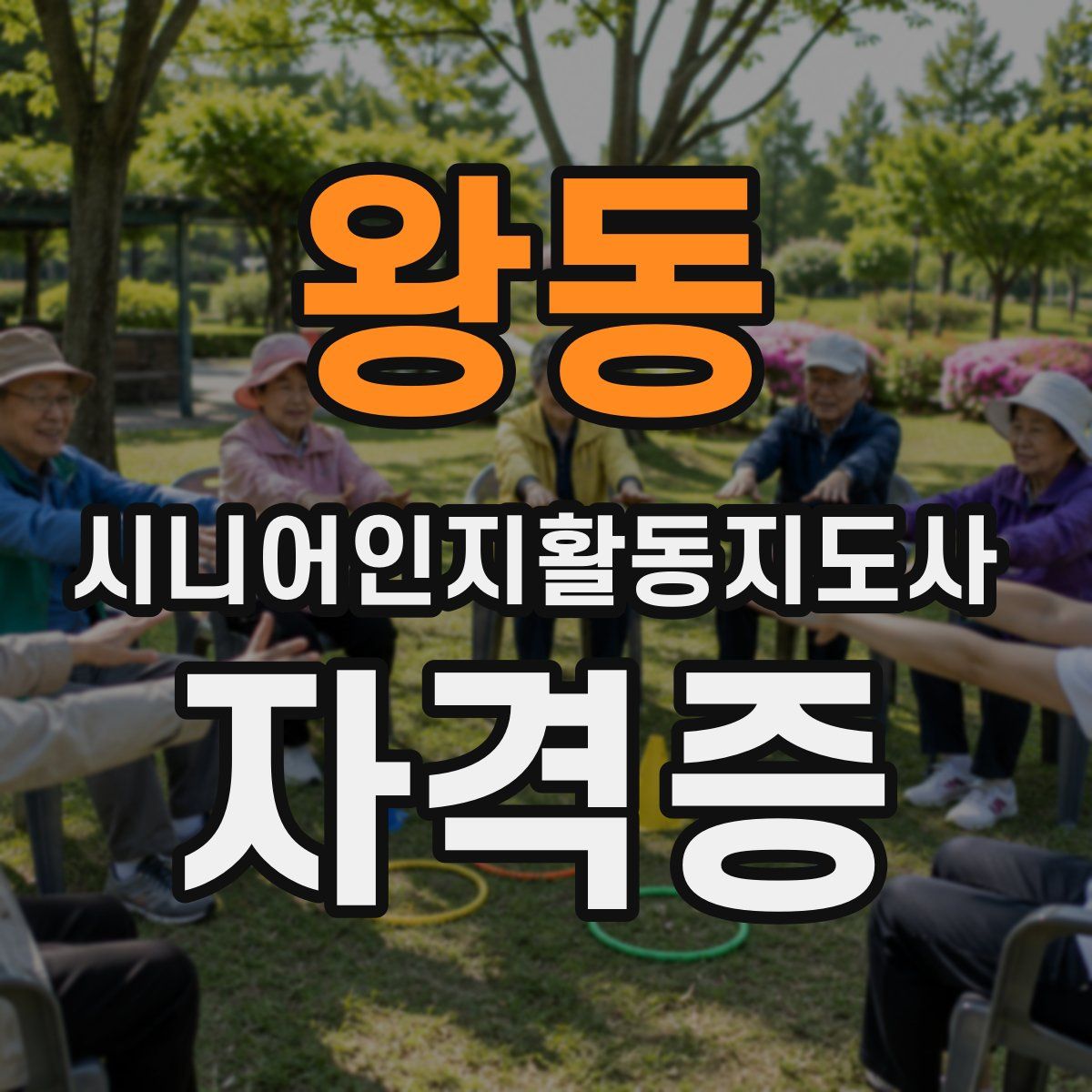 왕동 시니어인지활동지도사 자격증