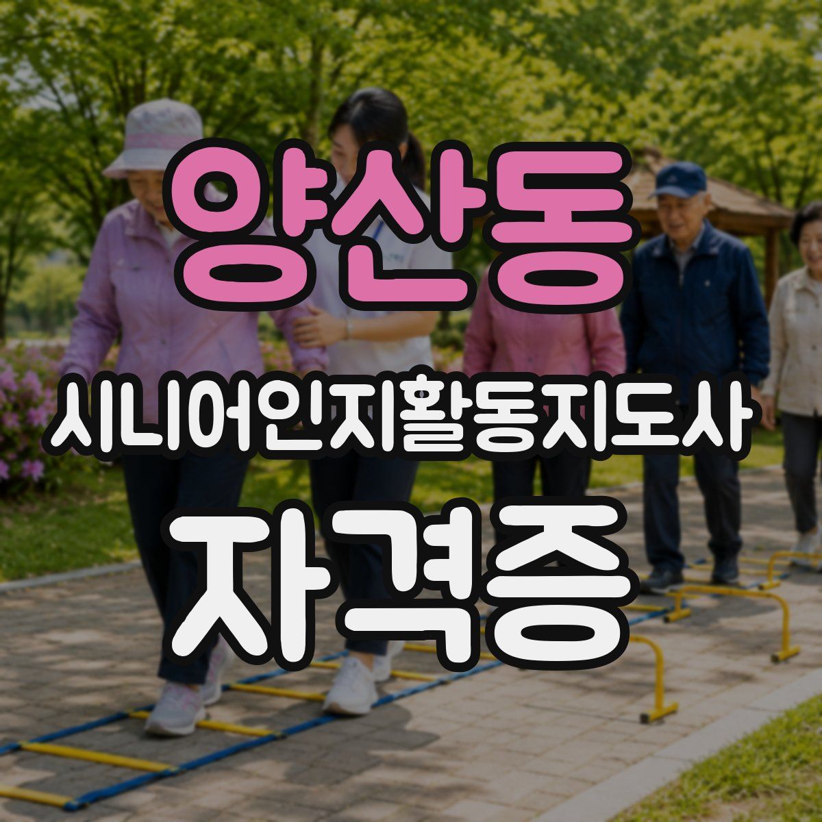양산동 시니어인지활동지도사 자격증