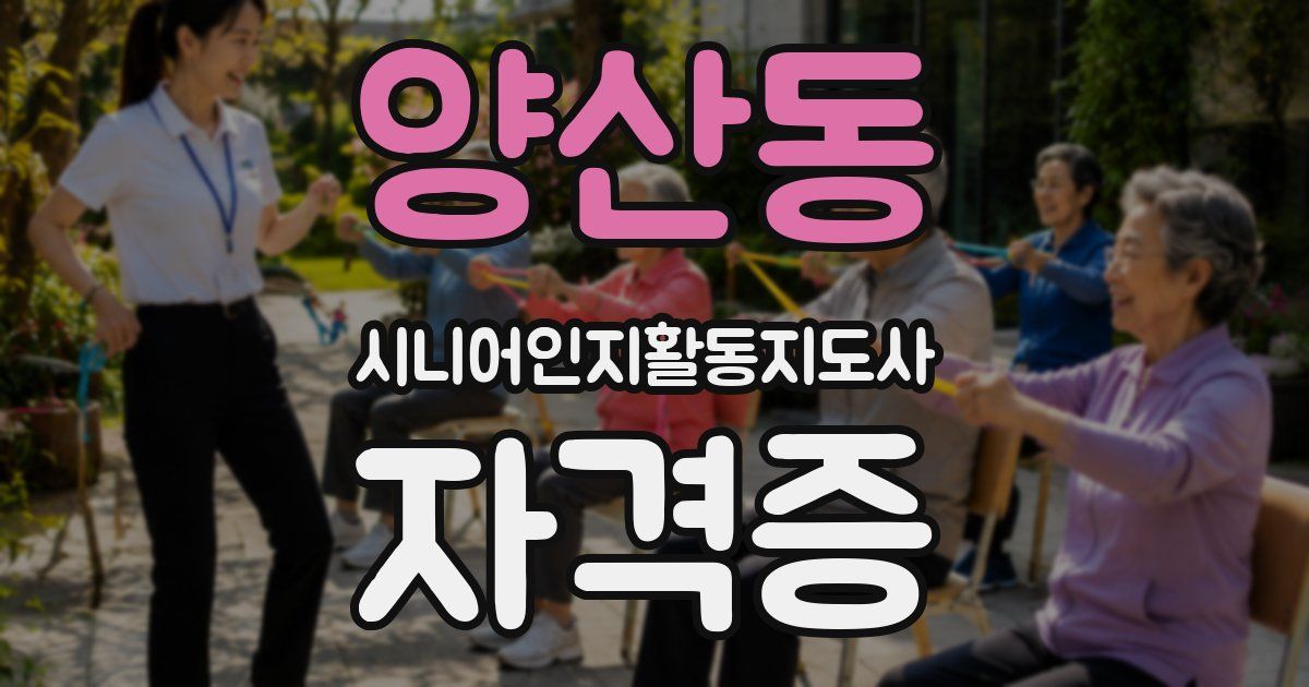 양산동 시니어인지활동지도사 자격증