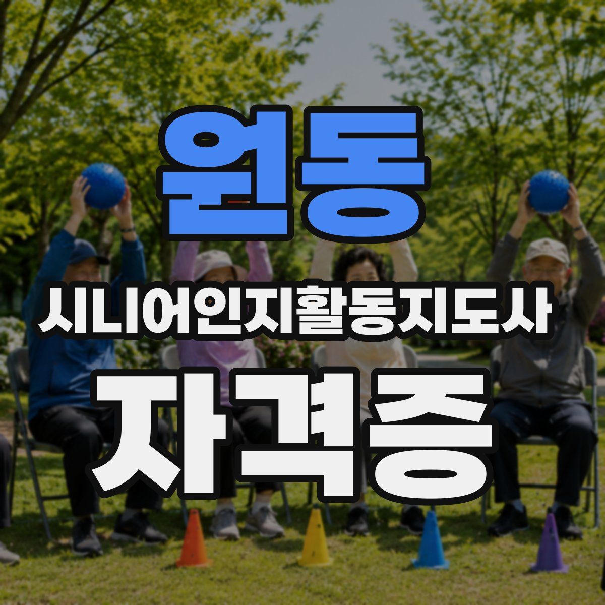 원동 시니어인지활동지도사 자격증
