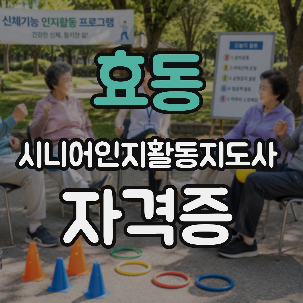 효동 시니어인지활동지도사 자격증