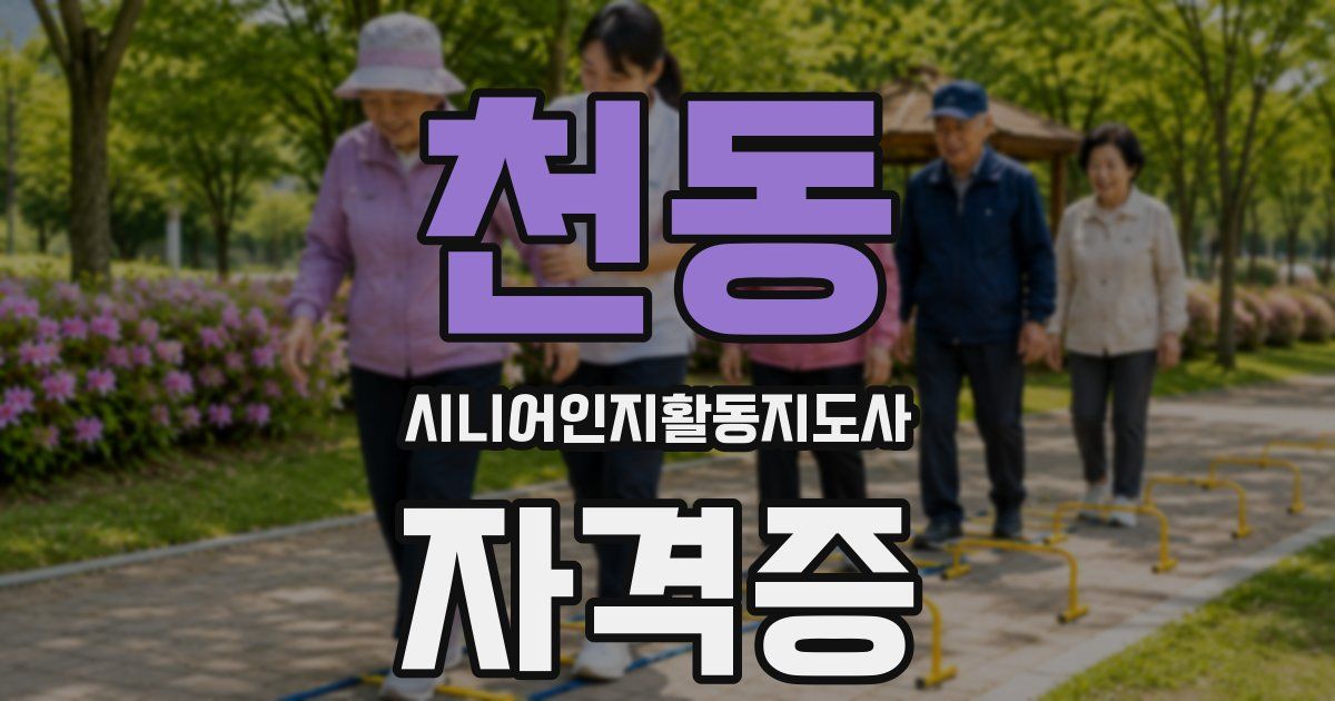 천동 시니어인지활동지도사 자격증