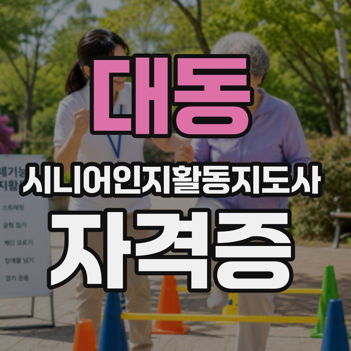 대동 시니어인지활동지도사 자격증