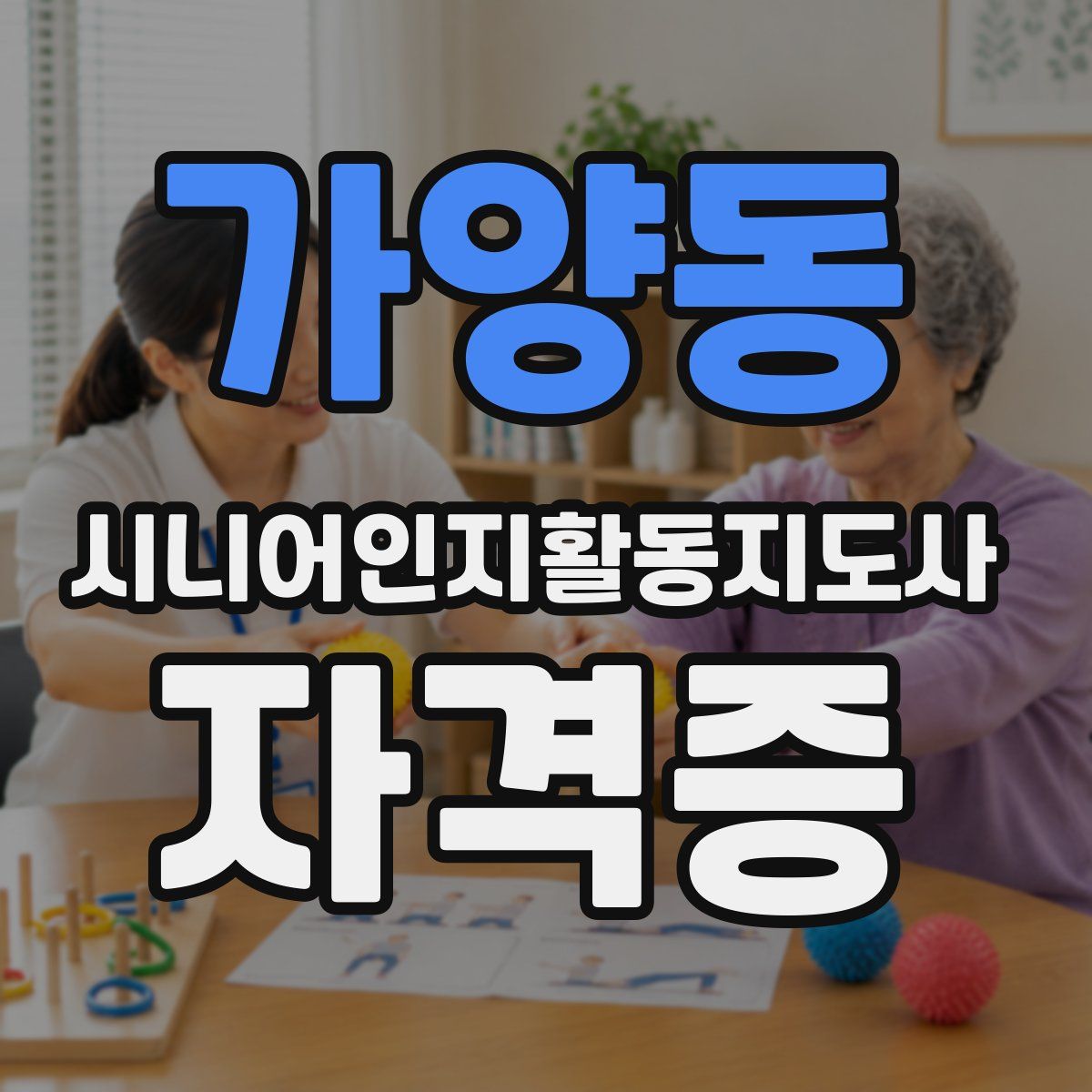 가양동 시니어인지활동지도사 자격증