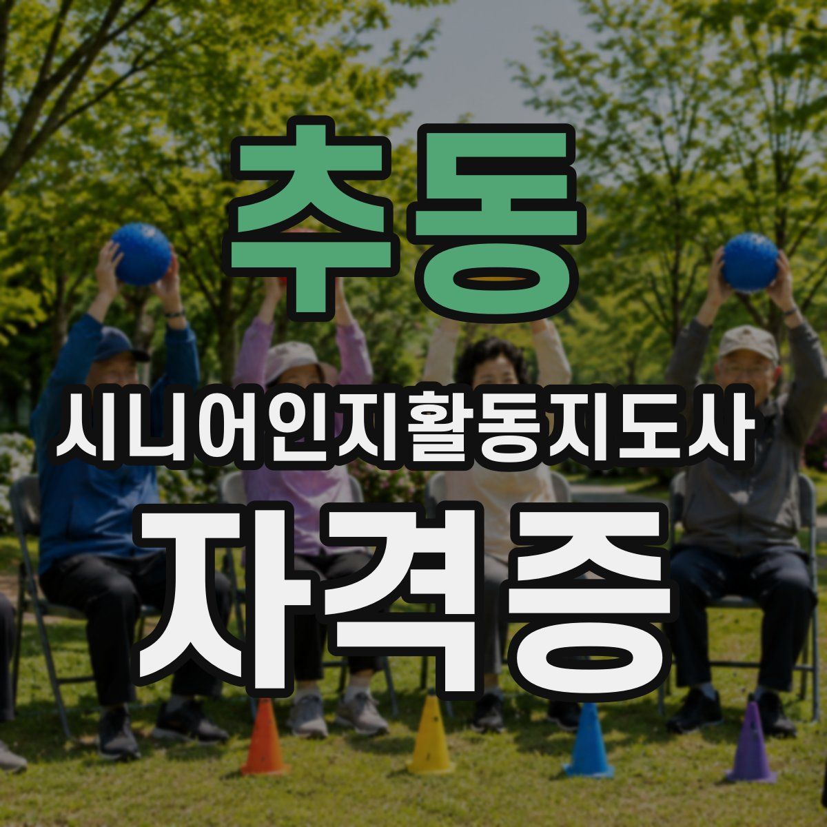 추동 시니어인지활동지도사 자격증