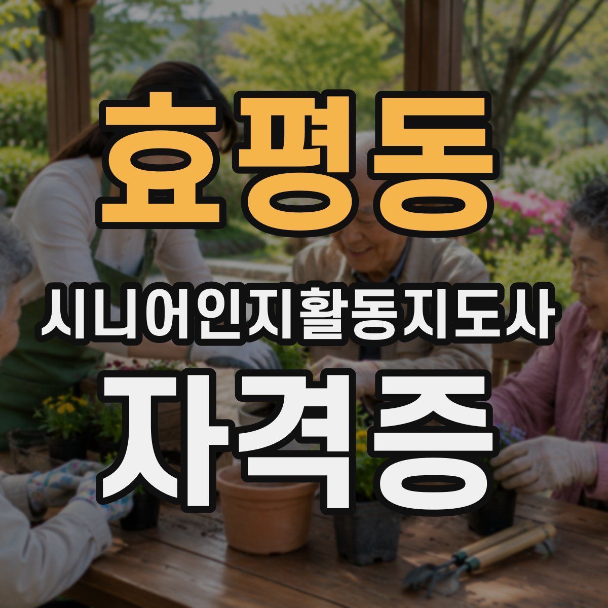 효평동 시니어인지활동지도사 자격증