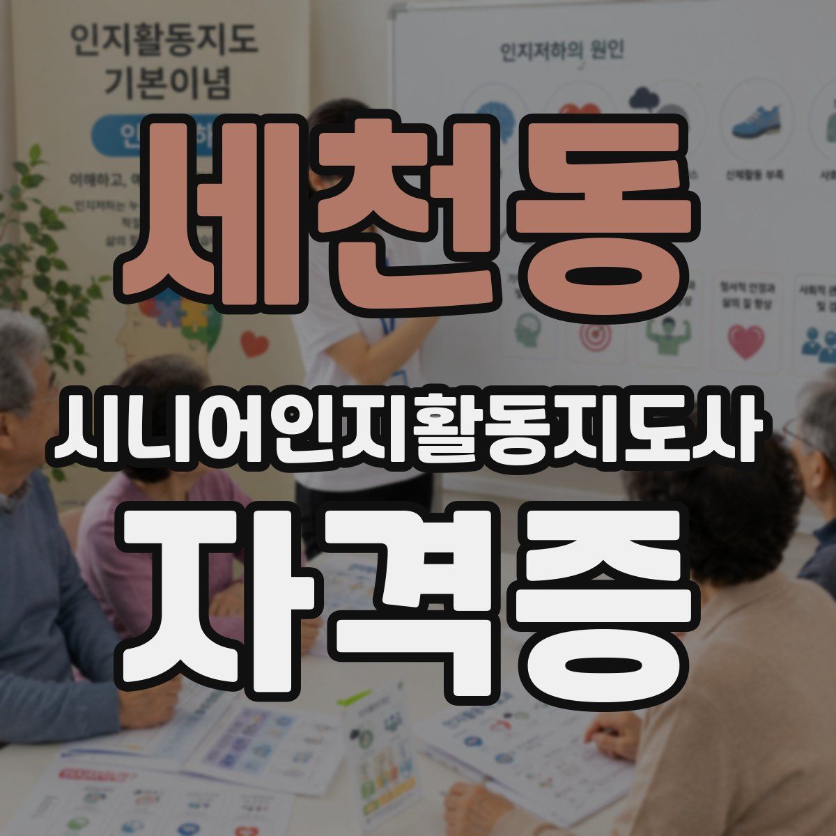 세천동 시니어인지활동지도사 자격증