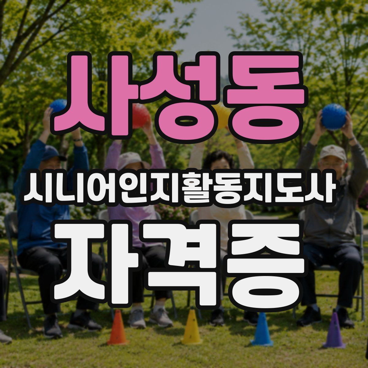 사성동 시니어인지활동지도사 자격증