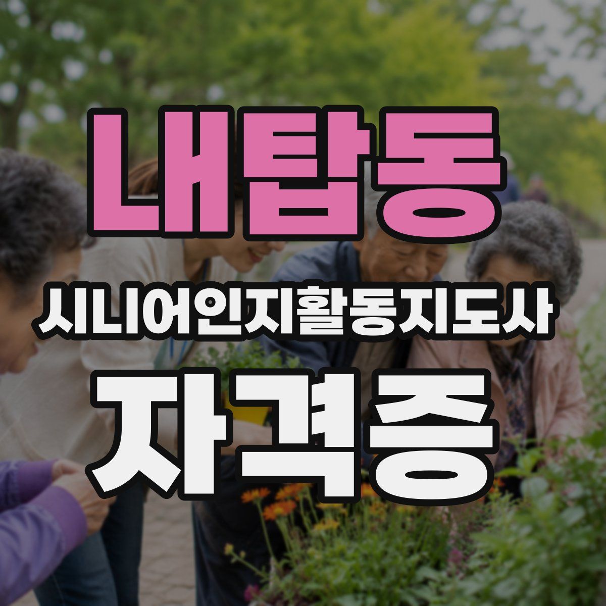 내탑동 시니어인지활동지도사 자격증