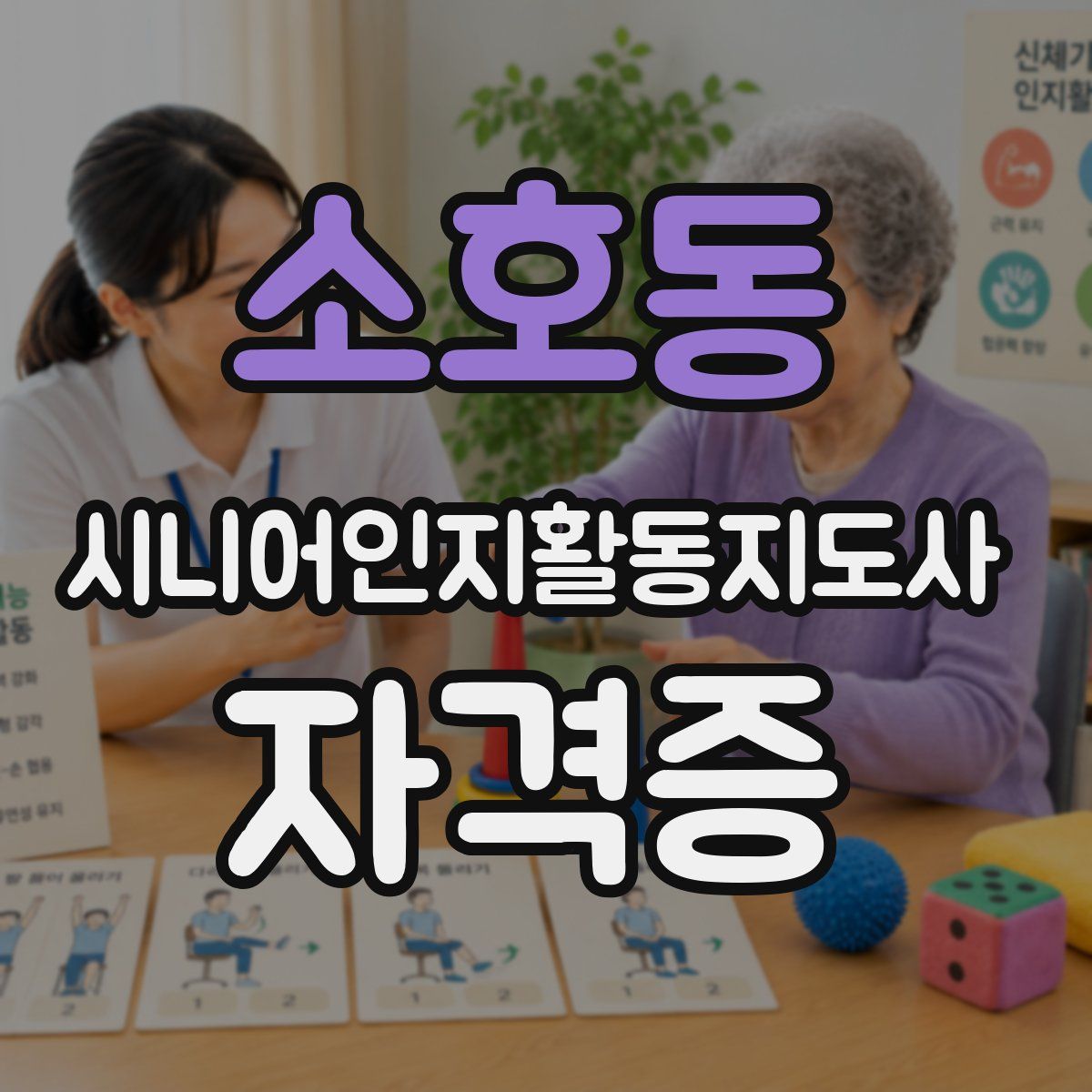 소호동 시니어인지활동지도사 자격증