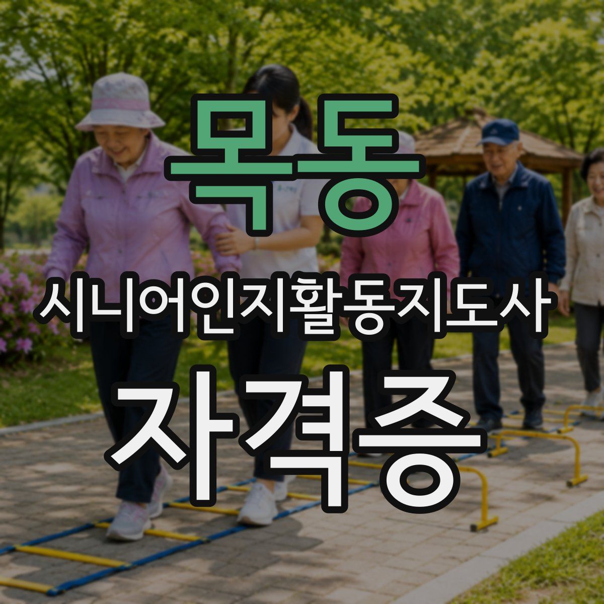 목동 시니어인지활동지도사 자격증