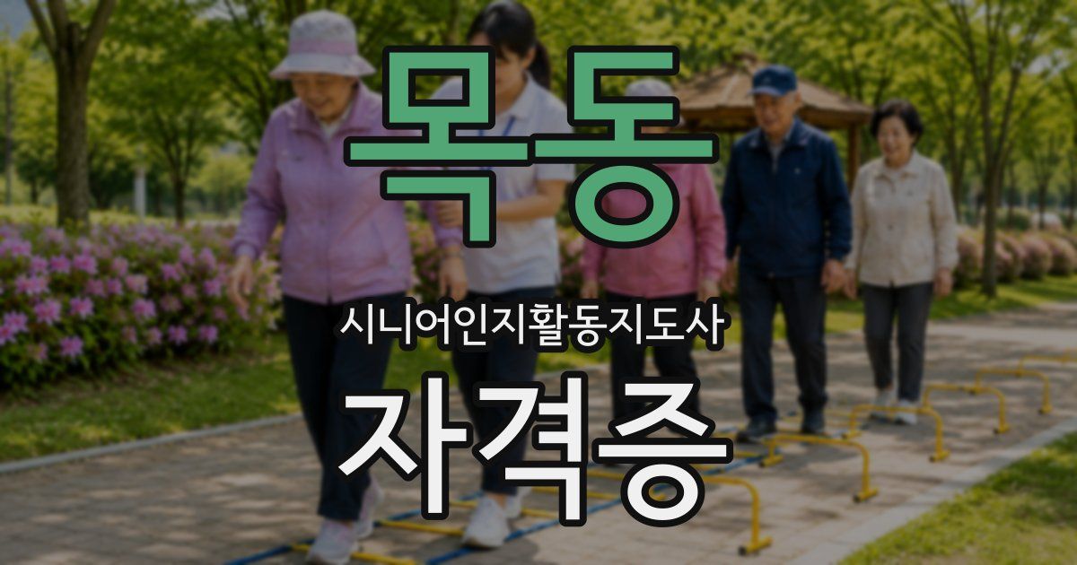 목동 시니어인지활동지도사 자격증
