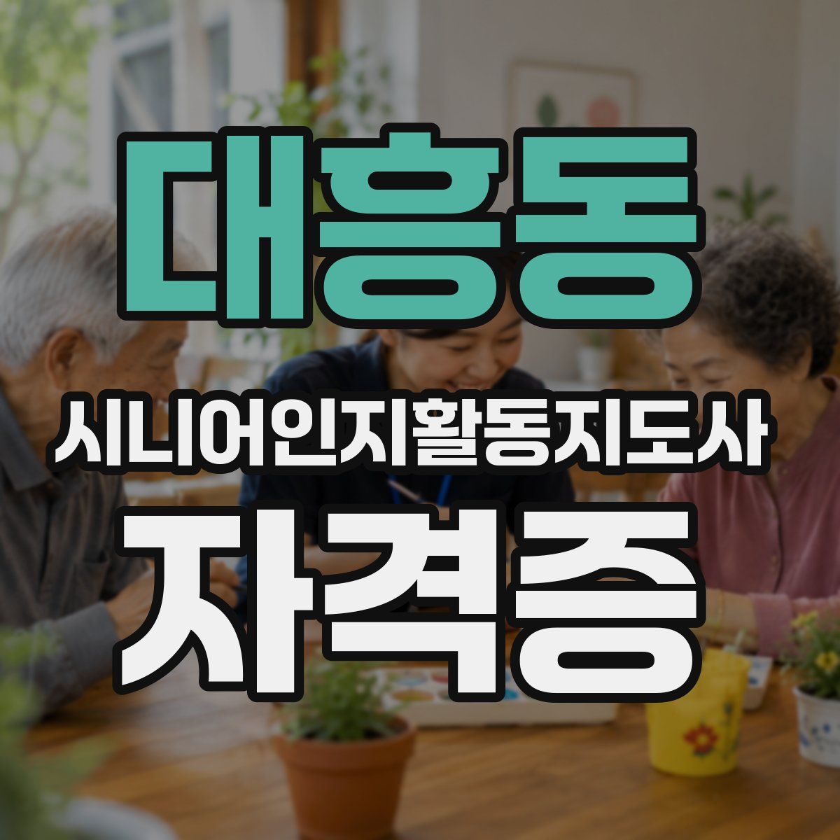 대흥동 시니어인지활동지도사 자격증