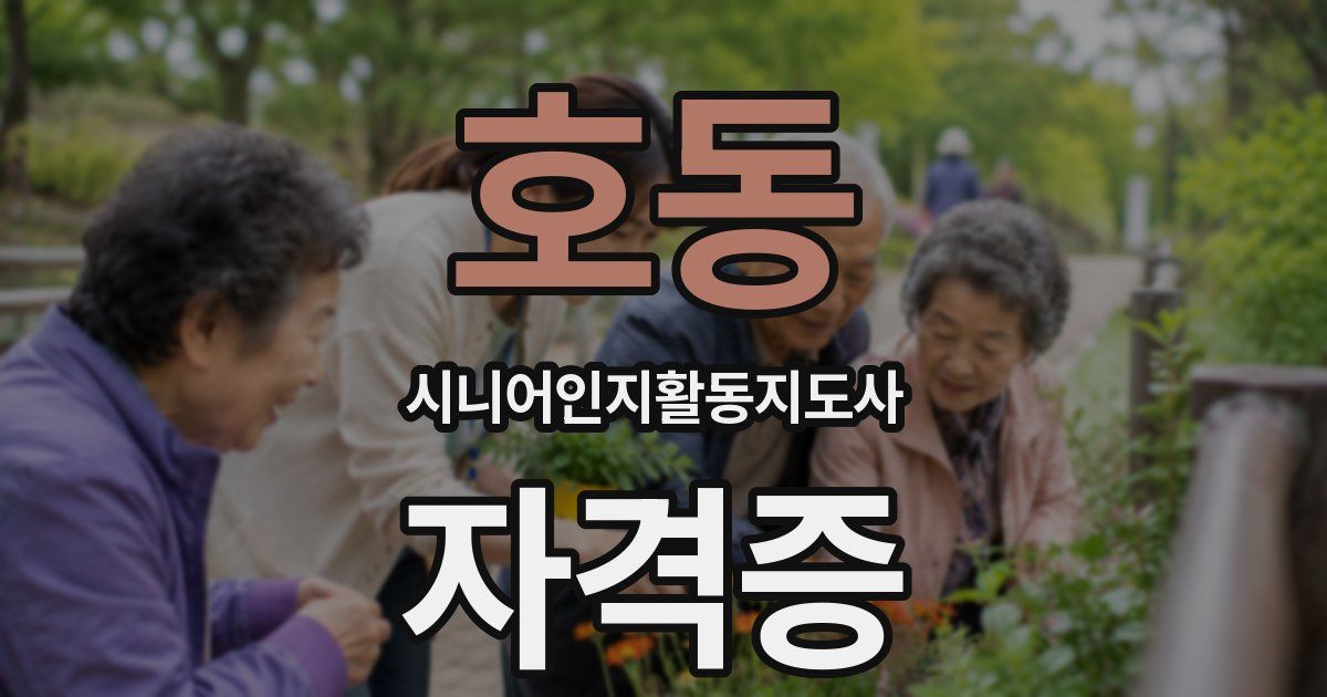 호동 시니어인지활동지도사 자격증