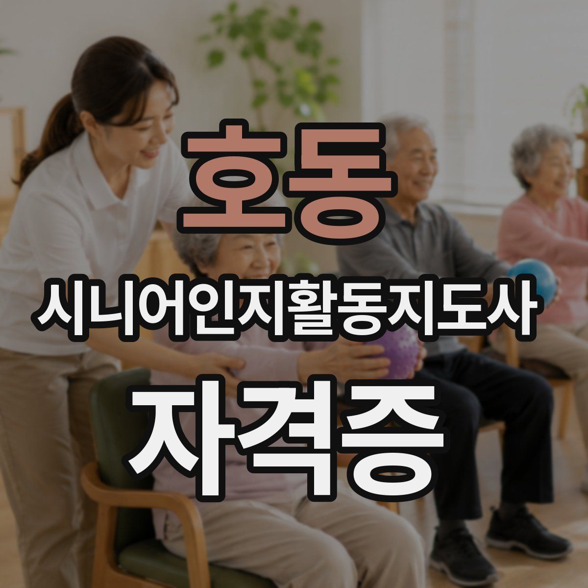 호동 시니어인지활동지도사 자격증