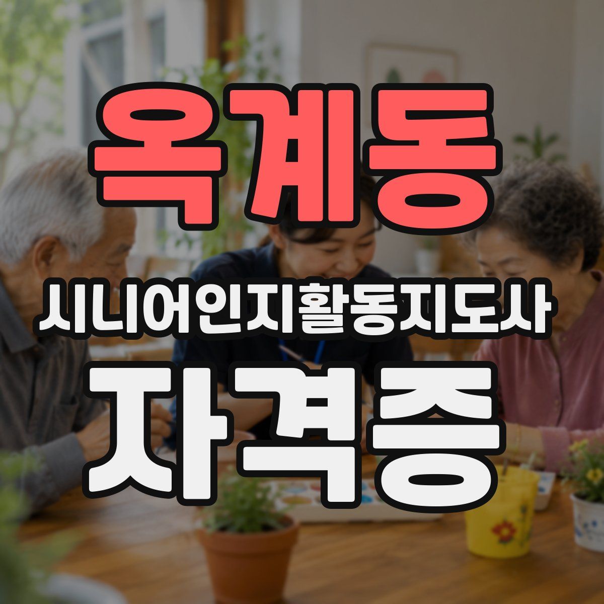 옥계동 시니어인지활동지도사 자격증