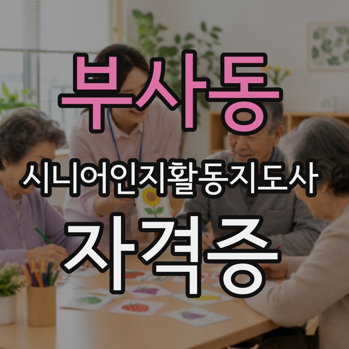 부사동 시니어인지활동지도사 자격증 활동 분야별 준비 포인트
