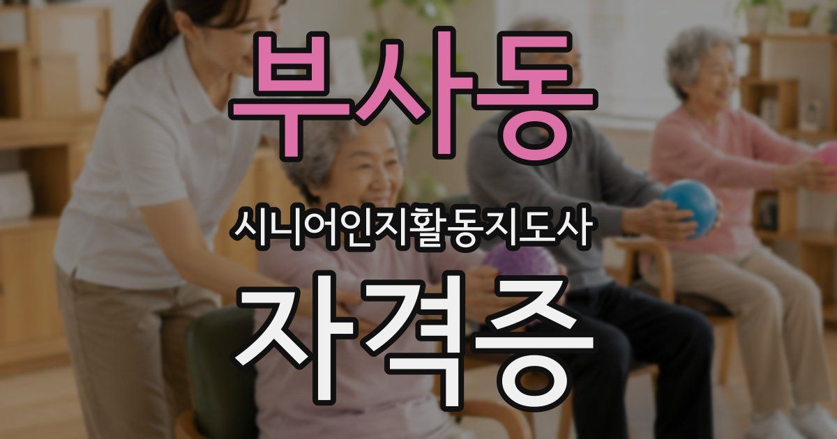 부사동 시니어인지활동지도사 자격증