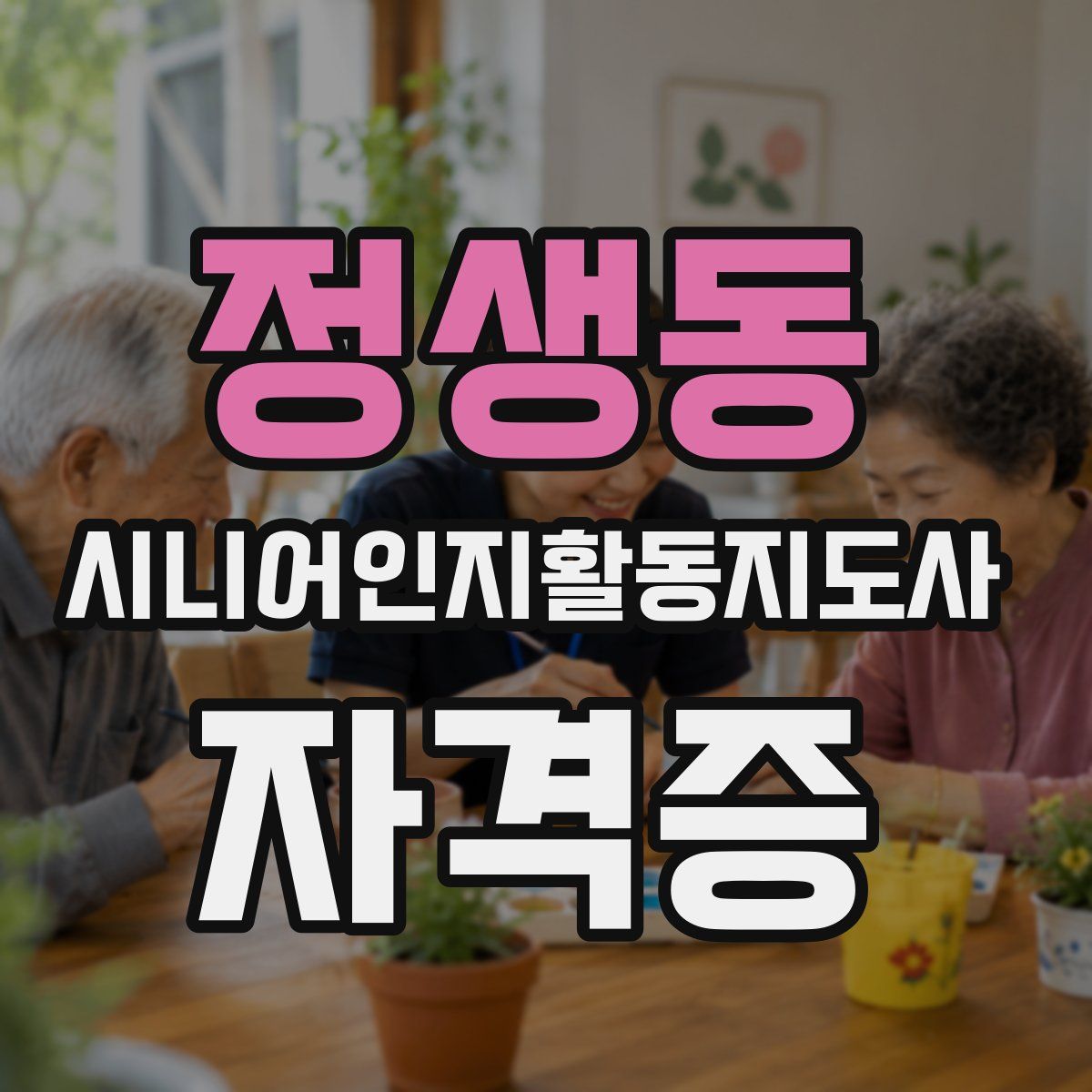 정생동 시니어인지활동지도사 자격증