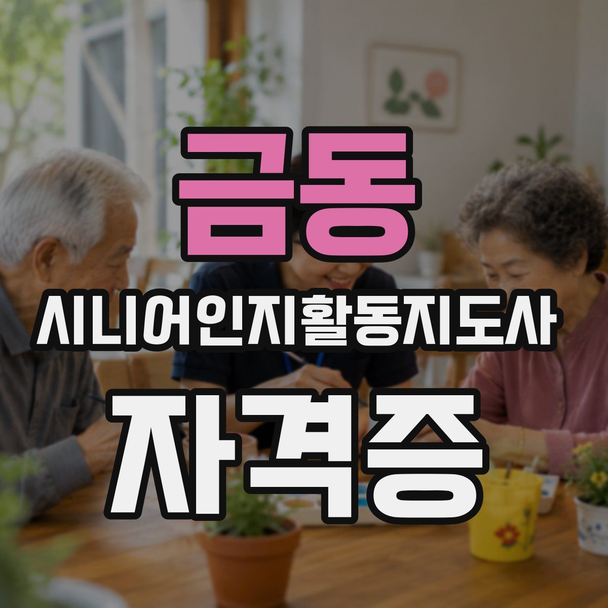 금동 시니어인지활동지도사 자격증