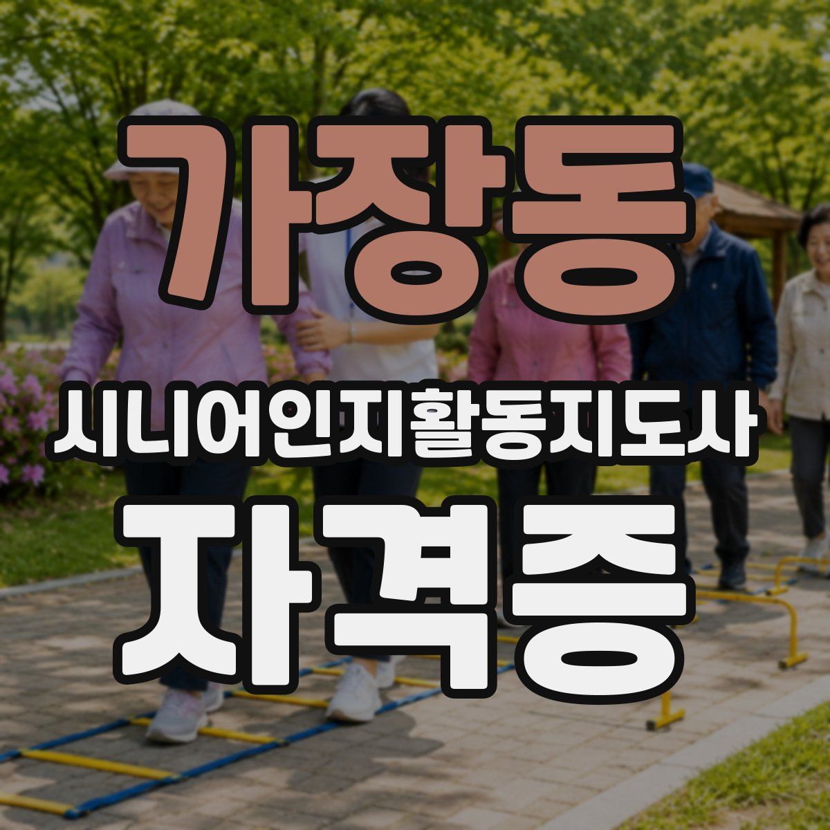 가장동 시니어인지활동지도사 자격증