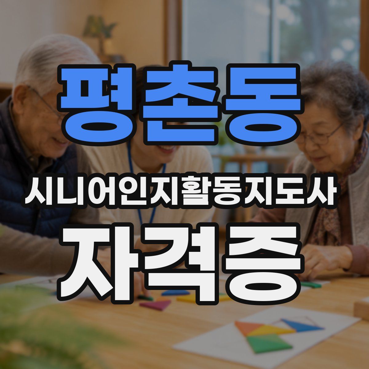 평촌동 시니어인지활동지도사 자격증
