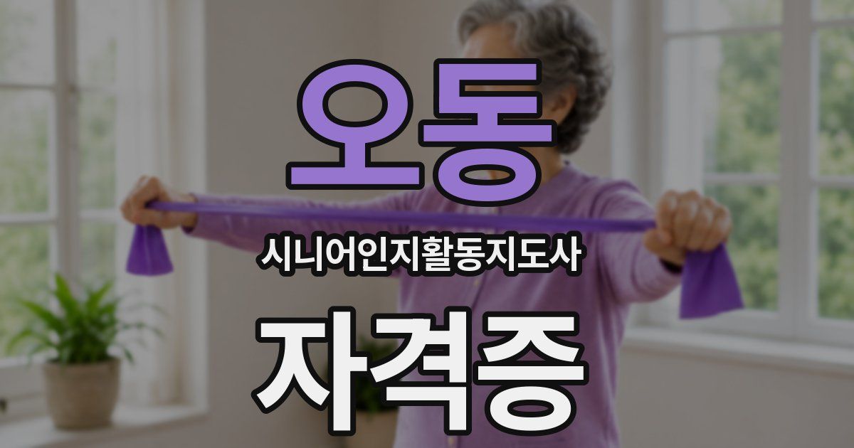 오동 시니어인지활동지도사 자격증