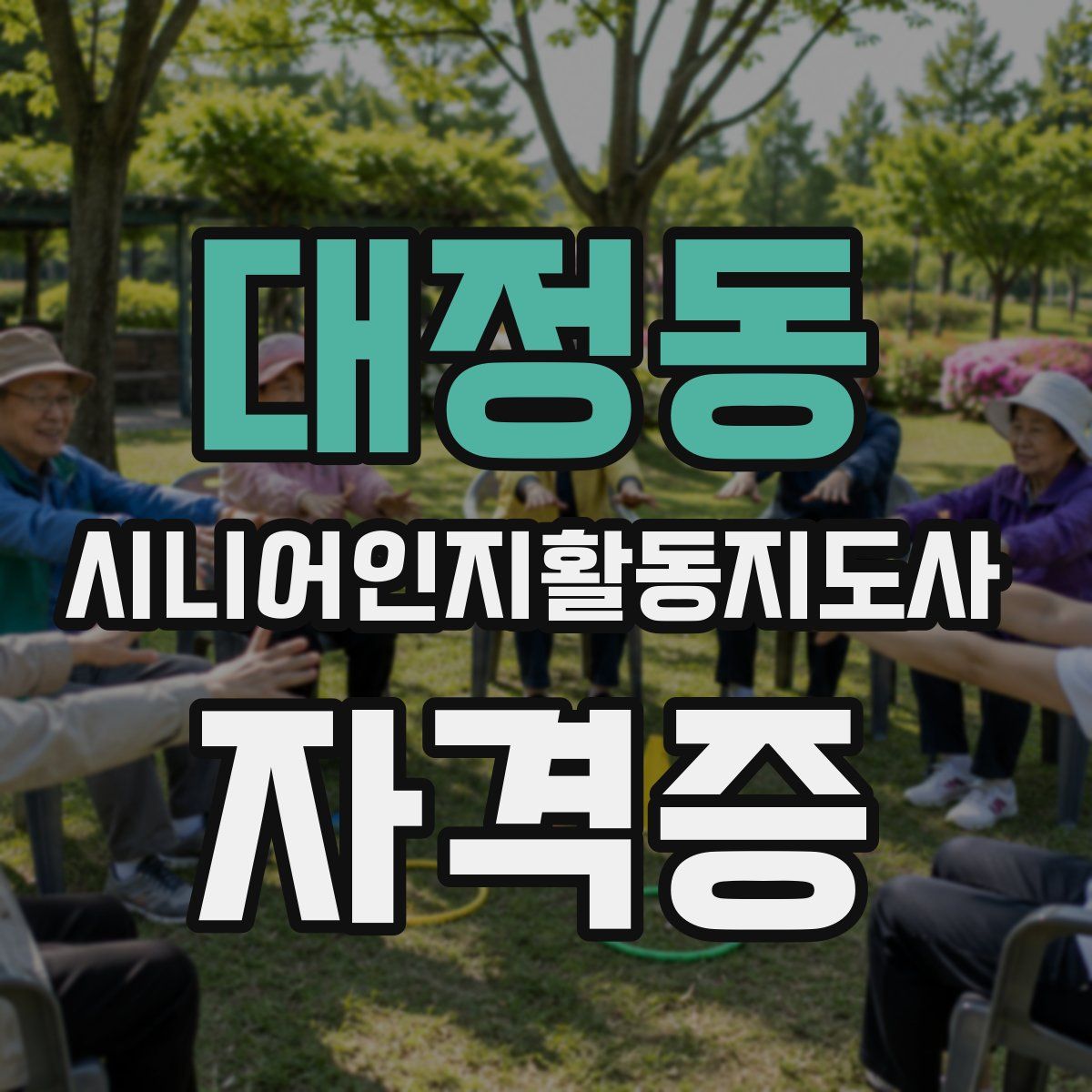 대정동 시니어인지활동지도사 자격증