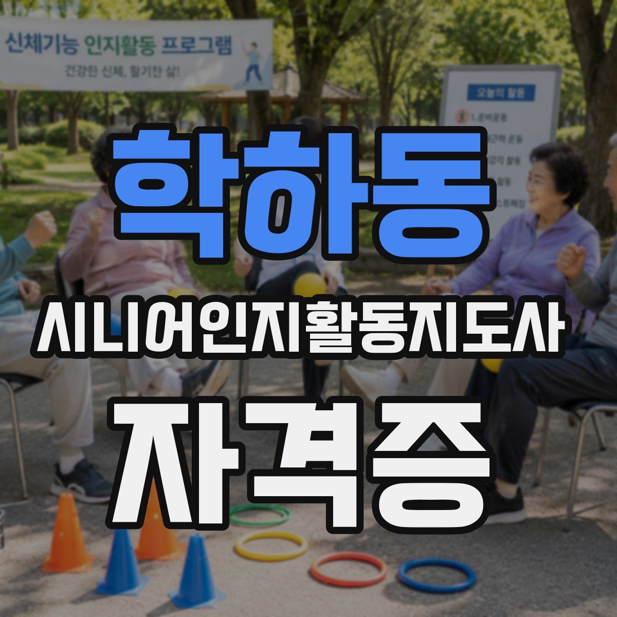 학하동 시니어인지활동지도사 자격증
