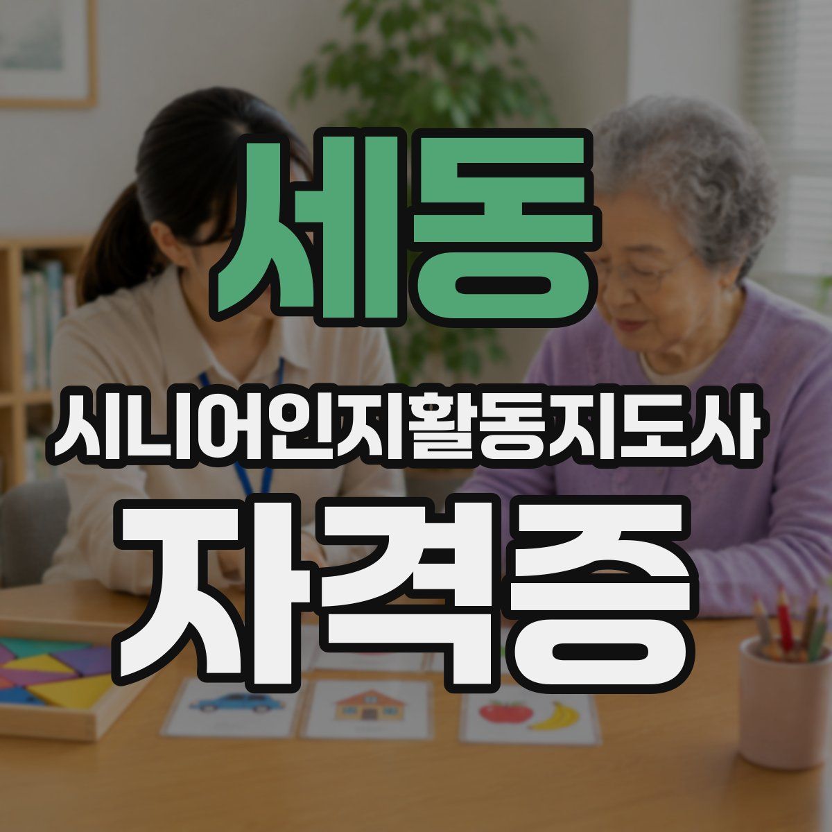 세동 시니어인지활동지도사 자격증