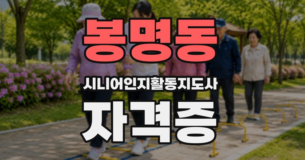 봉명동 시니어인지활동지도사 자격증
