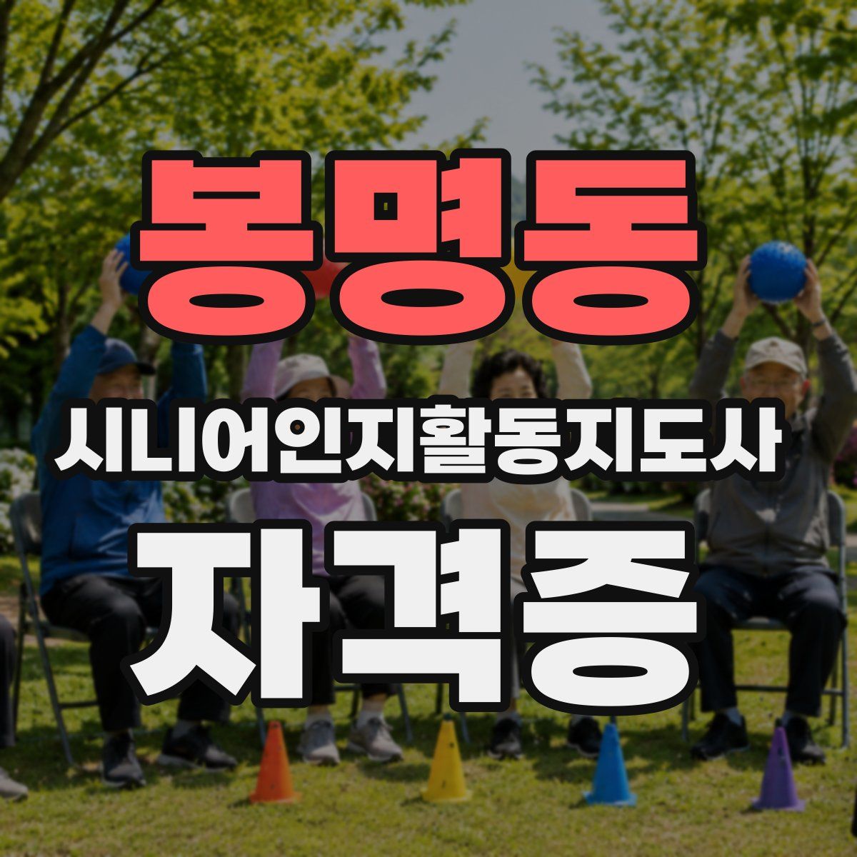 봉명동 시니어인지활동지도사 자격증