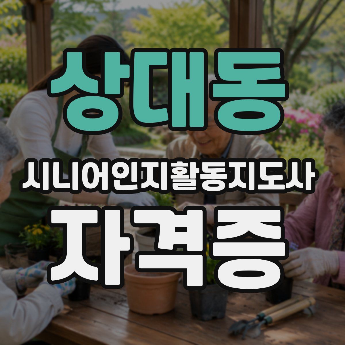 상대동 시니어인지활동지도사 자격증