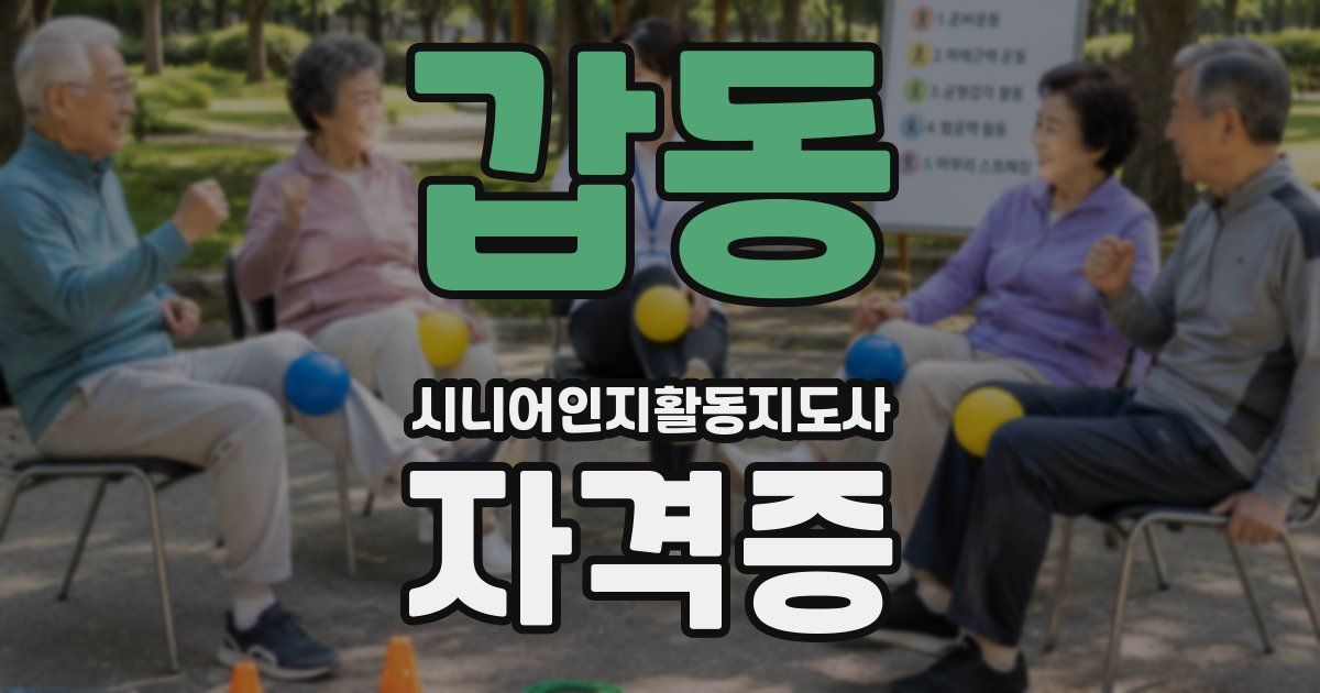 갑동 시니어인지활동지도사 자격증