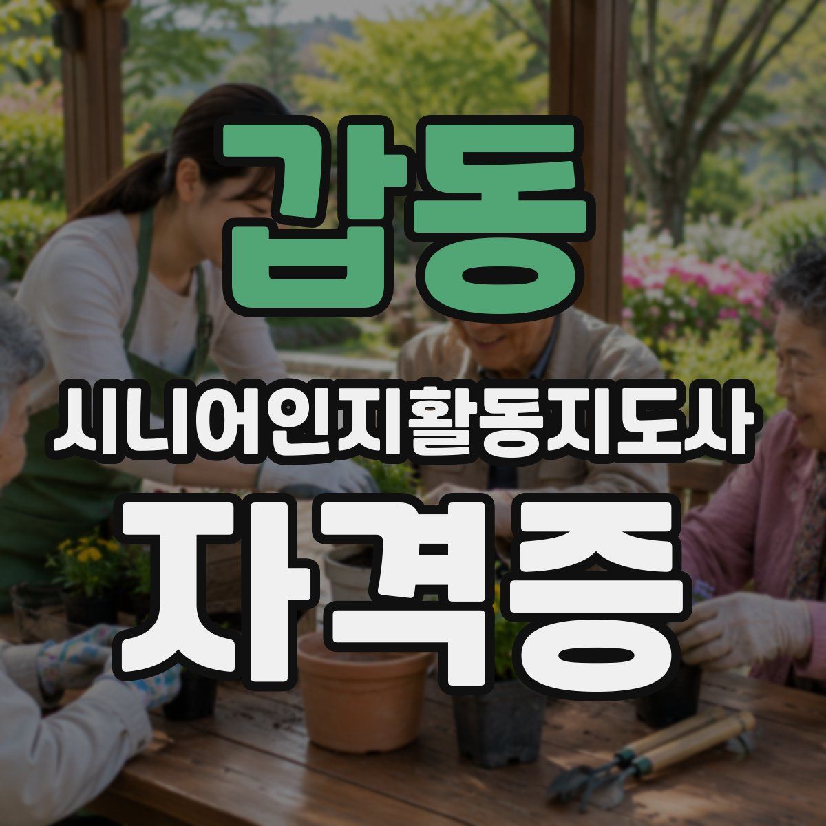갑동 시니어인지활동지도사 자격증