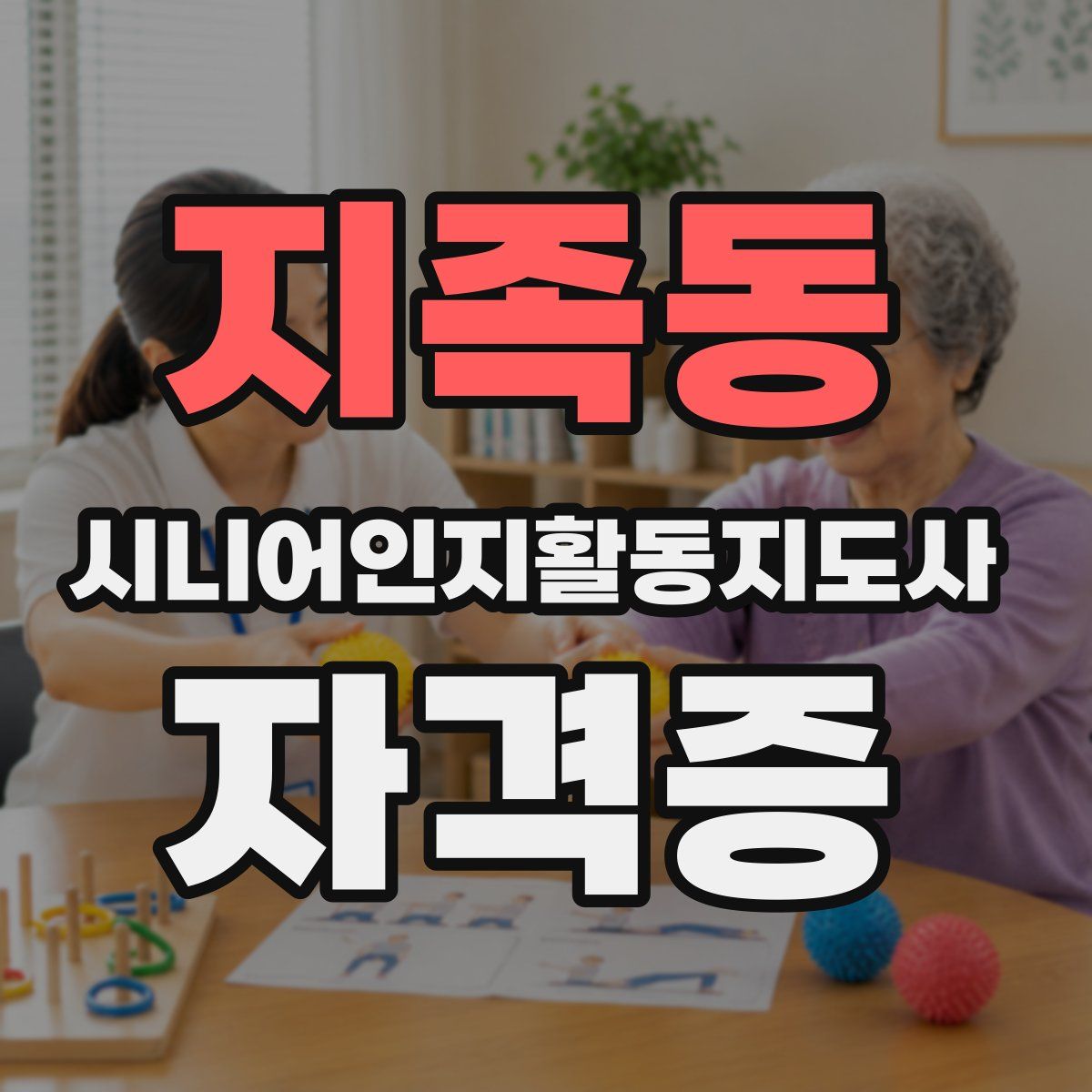 지족동 시니어인지활동지도사 자격증