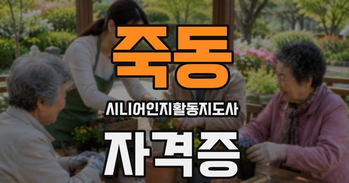 죽동 시니어인지활동지도사 자격증