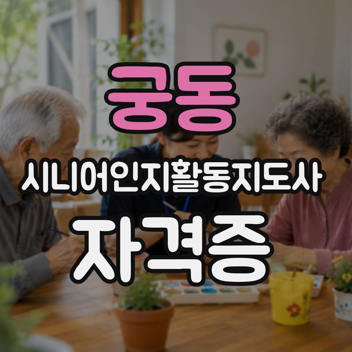 궁동 시니어인지활동지도사 자격증
