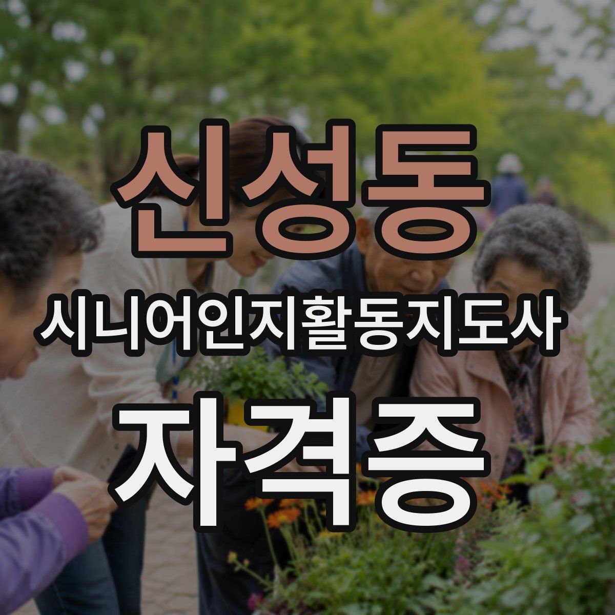 신성동 시니어인지활동지도사 자격증